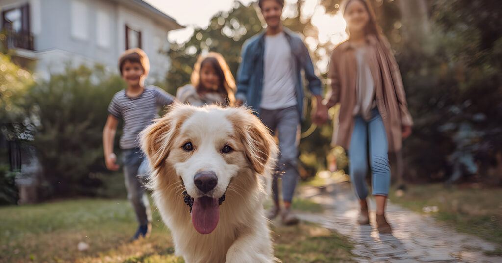 HOA pet rules Florida - dog and cat with homeowner in Florida community